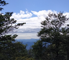 COL DE MONTALS - CASCADE D ORGON-gard