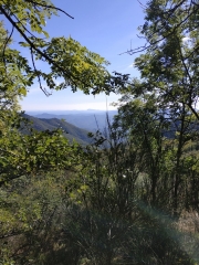 SALAGOSSE - LE MINIER-gard