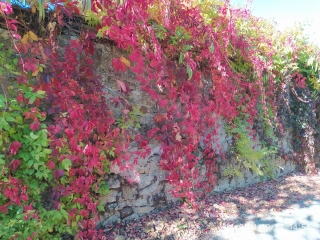 ST-LAURENT-LA-VERNEDE - LA BRUGUIERE-gard