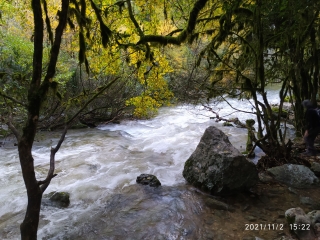 AUDABIAC - LES CONCLUSES-gard