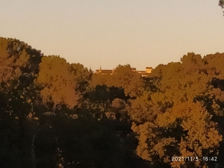 POUGNADORESSE - LE PIN-gard