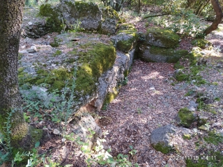 VALLABRIX - ST QUENTIN LA MADONE-gard