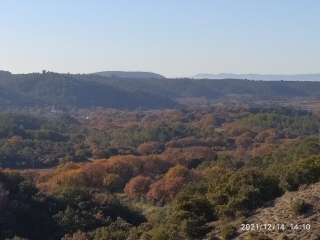 LA BRUGUIERE - BOIS DE LARNAC-gard