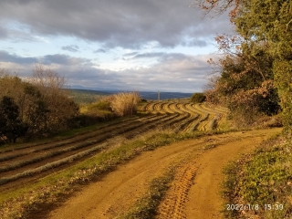 AUTOUR DE ST MARCEL DE CAREIRET-gard