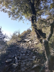 SAINT MARTIAL - LE VIALA - COL DU DEVINAYRE-gard