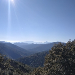 SAINT MARTIAL - LE VIALA - COL DU DEVINAYRE-gard