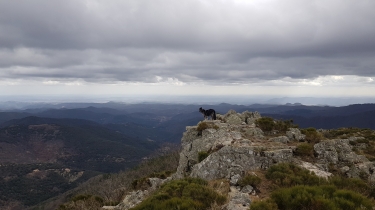 SAINT-MARTIAL PAR LES 8 COLS-gard