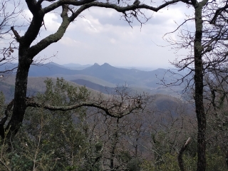 HAMEAU DE CEZAS - PRIEURE ST MARTIN - MONTAGNE DES CAGNASSES-gard