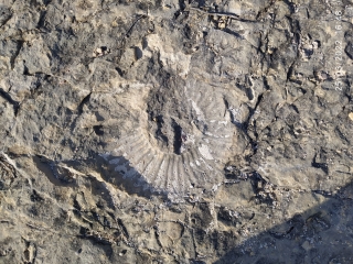 LIRAC - ERMITAGE ET GROTTES-gard