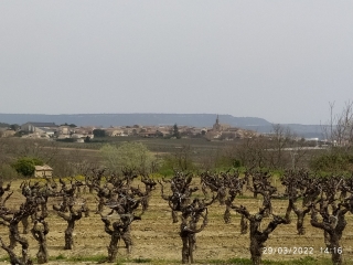 CAVILLARGUES - LE PIN - ST PONS LA CALM-gard