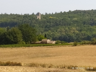 ST-LAURENT-LA-VERNEDE - POUGNADORESSE VARIANTE-gard
