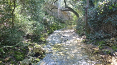 ARGILLIERS - LES DARBOUNELLES-gard