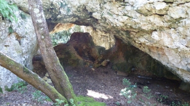 ARGILLIERS - LES DARBOUNELLES-gard