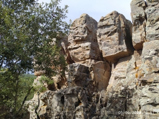 OPPIDUM GAUJAC - LE PIN-gard