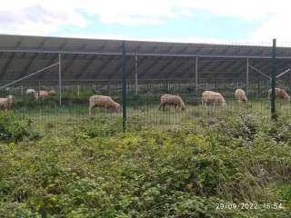 LA BRUGUIERE - LA GARRIGUE-gard