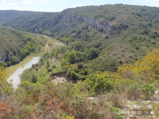 STE ANASTASIE - VIC-gard