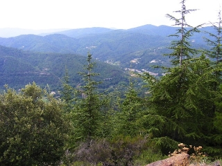 TUMULUS DE DIEUSSES-gard