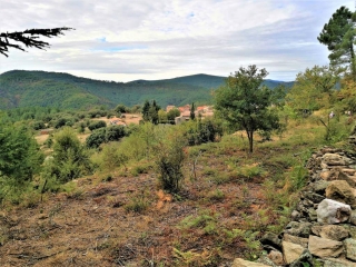 BARRAGE DE SENECHAS - TARABIAS - RETOUR PAR COL DE SOLAGE-gard