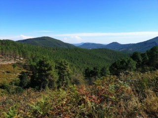 ROCHESSADOULE - COL DE TRELIS - MALPERTUS-gard