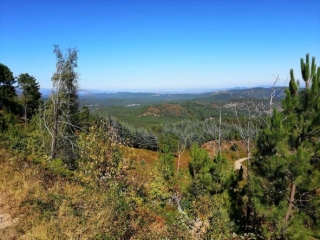 ROCHESSADOULE - COL DE TRELIS - MALPERTUS-gard