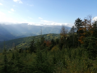 MALONS-ET-ELZE - CIRCUIT TRUC DE CARTADES -gard