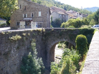 LA VERNAREDE - FORET DU ROUVERGUE-gard