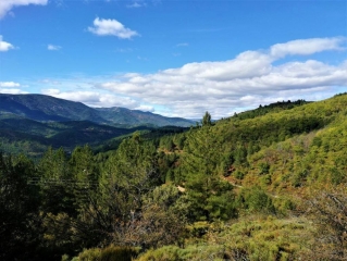 AUJAC - LE BROUZET - AUJAGUET-gard