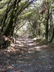 GENOLHAC - PONT DE RASTEL - MALLENCHES-gard