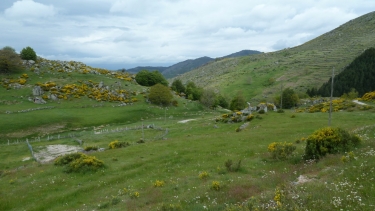 DOURBIES - PIC SAINT GUIRAL-gard