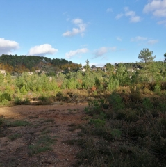 PEYREMALE - DOLMEN LES CHAMS-gard
