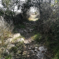 AUTOUR DE LA GROTTE DE LA COCALIERE-gard
