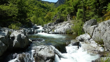 DOURBIES - LE SUQUET-gard