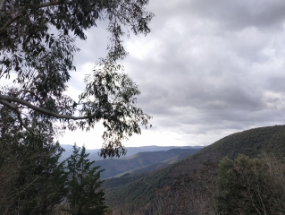 L ARBOUX - CAMIAS - PIERRES PLANTEES-gard