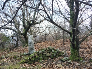 L ARBOUX - CAMIAS - PIERRES PLANTEES-gard