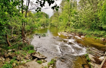 FOUSSIGNARGUES - GAGNIERES-gard