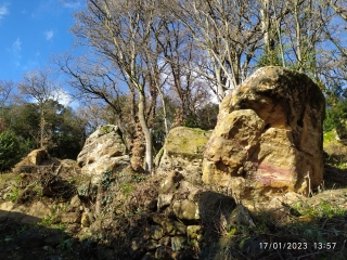 AUTOUR DE LA CAPELLE-MASMOLENE-gard