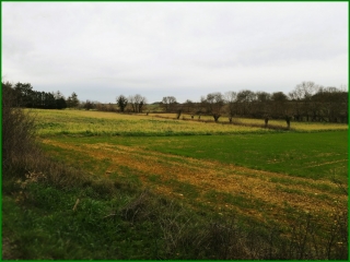 POTELIERES - ST JULIEN DE CASSAGNAS-gard