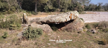 LE PIN - CHAPELLE ST-SEPULCRE-gard