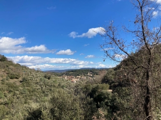 LES MAGES - LE SERRE DE BANASSAC-gard