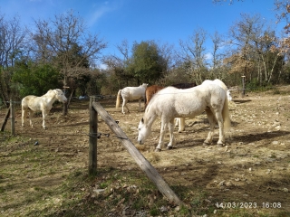 LUSSAN - VENDRAS-gard