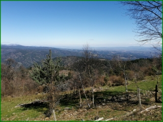 MALONS-ET-ELZE - LE BACASSIN-gard