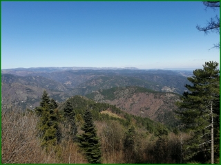 MALONS-ET-ELZE - LE BACASSIN-gard