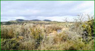 SAINT-AMBROIX - ST VICTOR DE MALCAP-gard