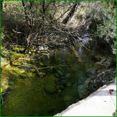 SAINT-AMBROIX - ST VICTOR DE MALCAP-gard