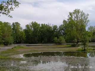 MOUSSAC - SAUZET-gard
