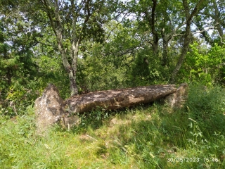 SAINT-MARCEL-DE-CAREIRET - BERGERIE DE LA ROUTE-gard