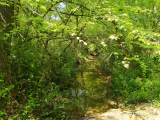 SAINT-MARCEL-DE-CAREIRET - BERGERIE DE LA ROUTE-gard