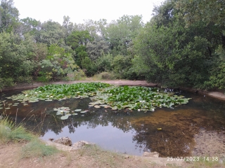 AUTOUR DE GOUDARGUES-gard