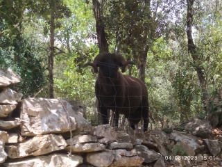 AUTOUR DE ST QUENTIN-gard