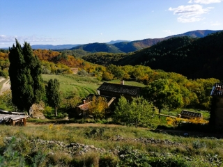 CASTILLON - MONTAGNAC - REBOUL-gard